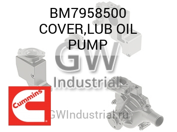 COVER,LUB OIL PUMP — BM7958500