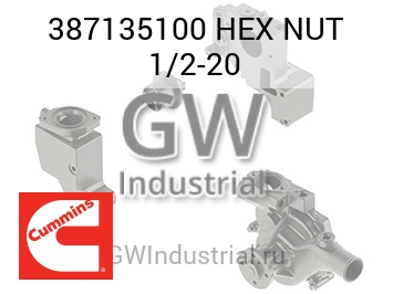 HEX NUT 1/2-20 — 387135100