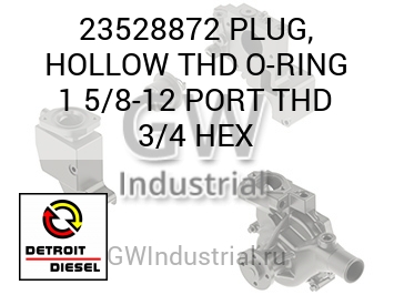 PLUG, HOLLOW THD O-RING 1 5/8-12 PORT THD 3/4 HEX — 23528872