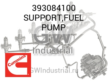 SUPPORT,FUEL PUMP — 393084100