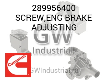 SCREW,ENG BRAKE ADJUSTING — 289956400