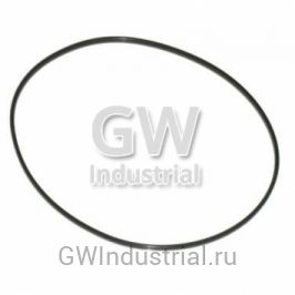 КОЛЬЦО ГИЛЬЗЫ