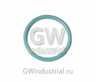 КОЛЬЦО СТАКАНА ФОРСУНКИ