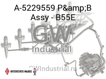 ПЛУНЖЕРНАЯ ПАРА ВСБОРЕ B55E