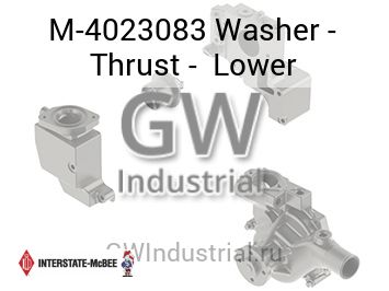 Washer - Thrust -  Lower — M-4023083