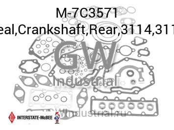 Seal,Crankshaft,Rear,3114,3116 — M-7C3571