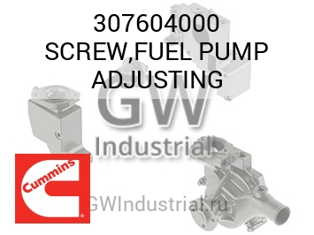 SCREW,FUEL PUMP ADJUSTING — 307604000