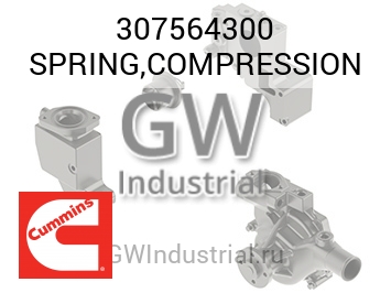 SPRING,COMPRESSION — 307564300