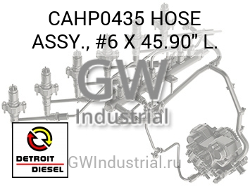 ШЛАНГ ASSY. #6 X 45.90