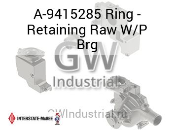 Ring - Retaining Raw W/P Brg — A-9415285