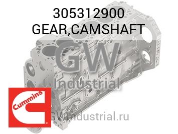 GEAR,CAMSHAFT — 305312900