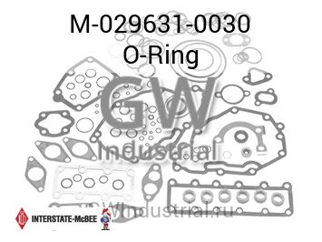 O-Ring — M-029631-0030
