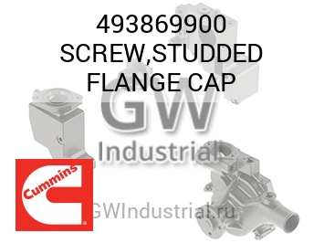 SCREW,STUDDED FLANGE CAP — 493869900