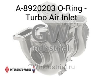 O-Ring - Turbo Air Inlet — A-8920203