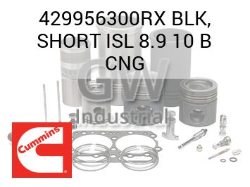 BLK, SHORT ISL 8.9 10 B CNG — 429956300RX