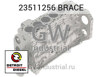 BRACE — 23511256