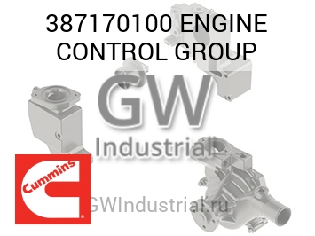 ENGINE CONTROL GROUP — 387170100