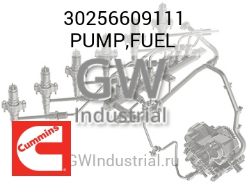 PUMP,FUEL — 30256609111