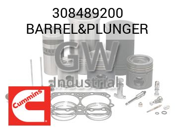 BARREL&PLUNGER — 308489200