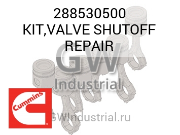 KIT,VALVE SHUTOFF REPAIR — 288530500