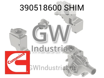SHIM — 390518600