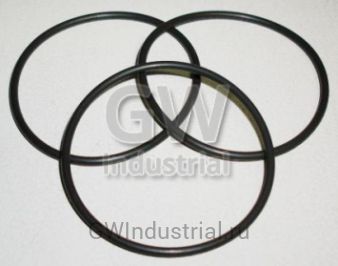 КОЛЬЦО ФОРСУНКИ