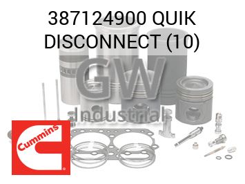 QUIK DISCONNECT (10) — 387124900