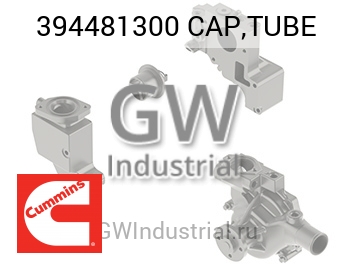 CAP,TUBE — 394481300