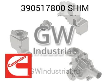 SHIM — 390517800