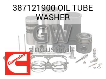 OIL TUBE WASHER — 387121900