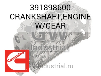 CRANKSHAFT,ENGINE W/GEAR — 391898600