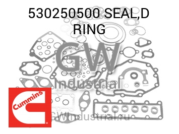 SEAL,D RING — 530250500