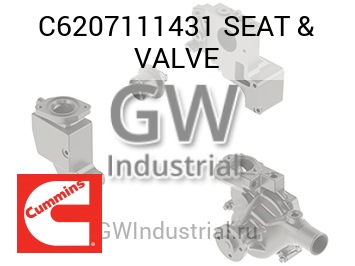 SEAT & VALVE — C6207111431