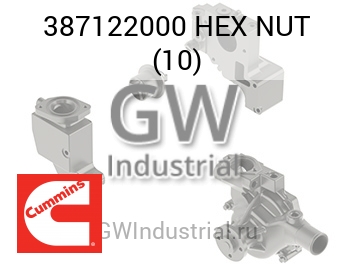HEX NUT (10) — 387122000