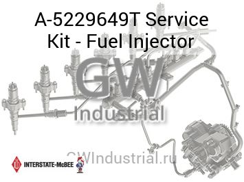 Service Kit - Fuel Injector — A-5229649T