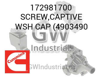 SCREW,CAPTIVE WSH CAP (4903490 — 172981700