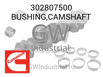 BUSHING,CAMSHAFT — 302807500