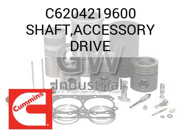 SHAFT,ACCESSORY DRIVE — C6204219600