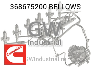 BELLOWS — 368675200