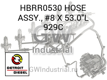 HOSE ASSY., #8 X 53.0