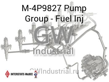 Pump Group - Fuel Inj — M-4P9827