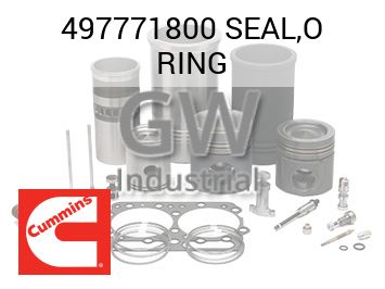 SEAL,O RING — 497771800