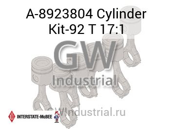 Cylinder Kit-92 T 17:1 — A-8923804