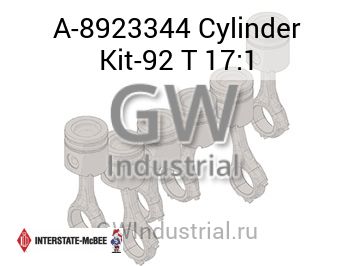 Cylinder Kit-92 T 17:1 — A-8923344
