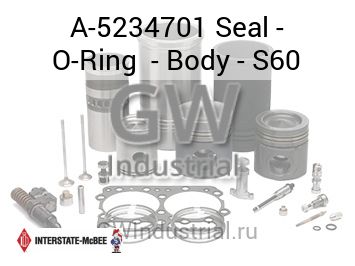 Seal - O-Ring  - Body - S60 — A-5234701